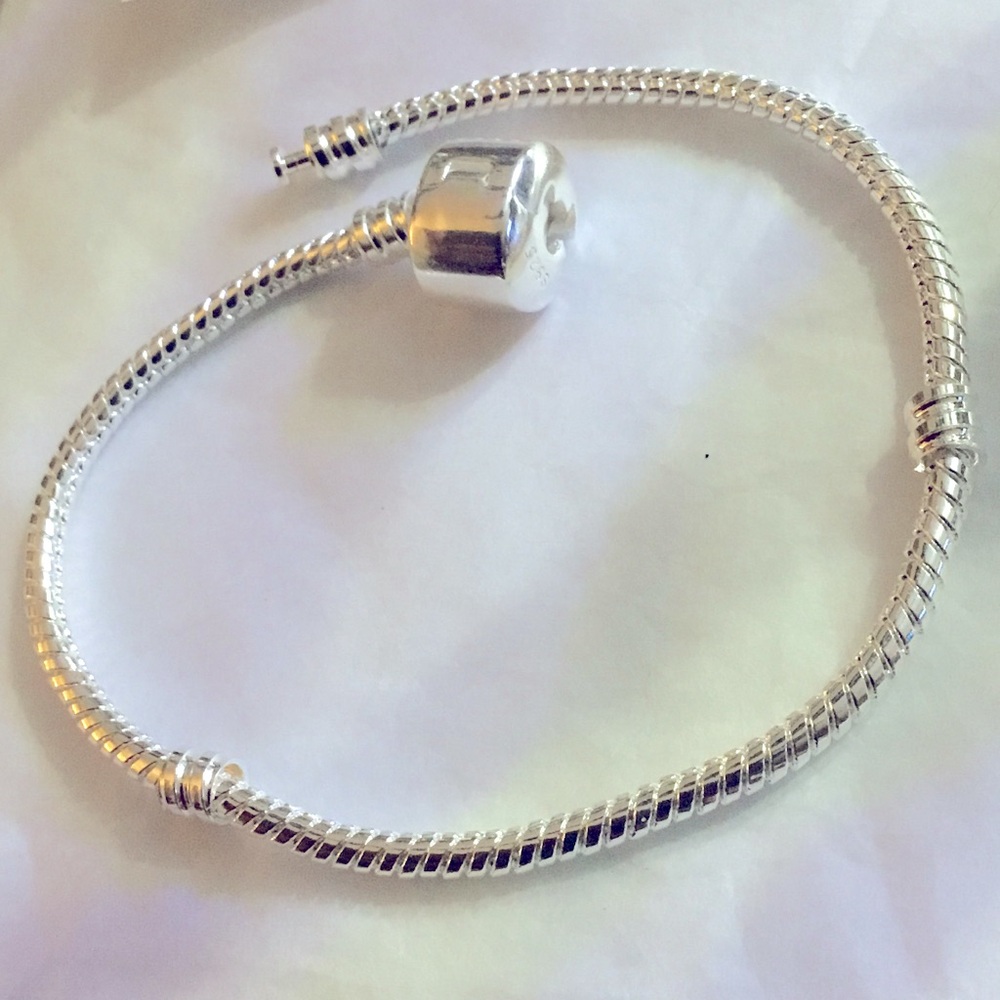 Sterling Silver Charm Bracelet Pandora Style